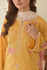 Sunaina Farshi Shalwar Emb 3pc