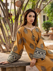 Sumbul Embroidered Set
